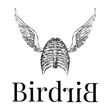 BirdriB Palindrome Detector Logo